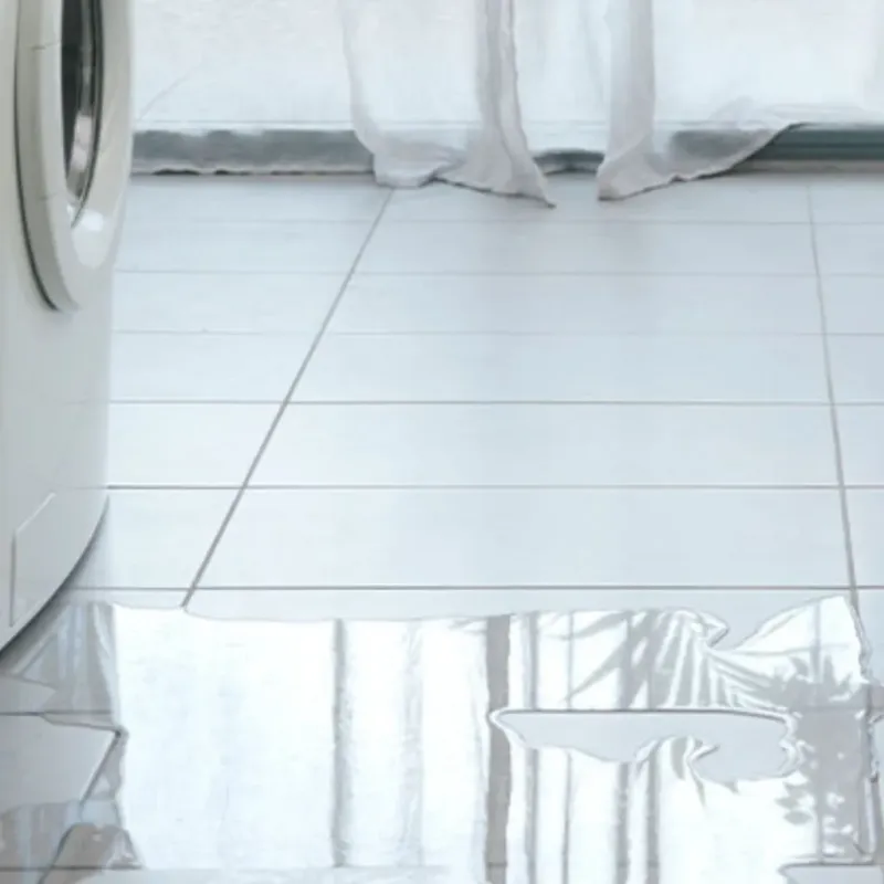 Appliance Leak Cleanup in West DeLand, FL
