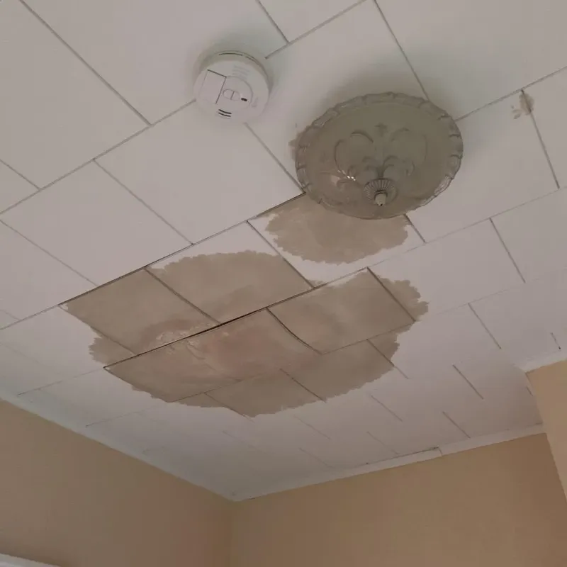 Ceiling Water Damage Repair in West DeLand, FL
