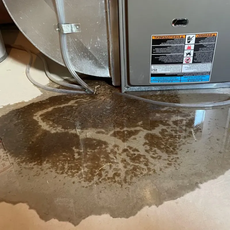 Pipe Burst and Leak Restoration in West DeLand, FL